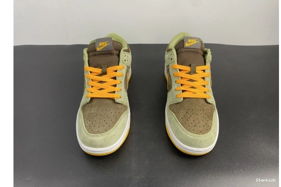 DH5360-300 Olive Nike Low Dusty Dunk 1003